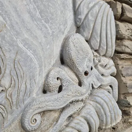 Octopus Sea View House Αρνάδος